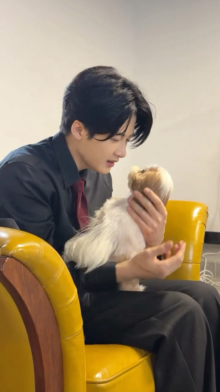 看出来了，是亲爸，试图将檀小呆摸秃，试图将檀力球喂鳄鱼 