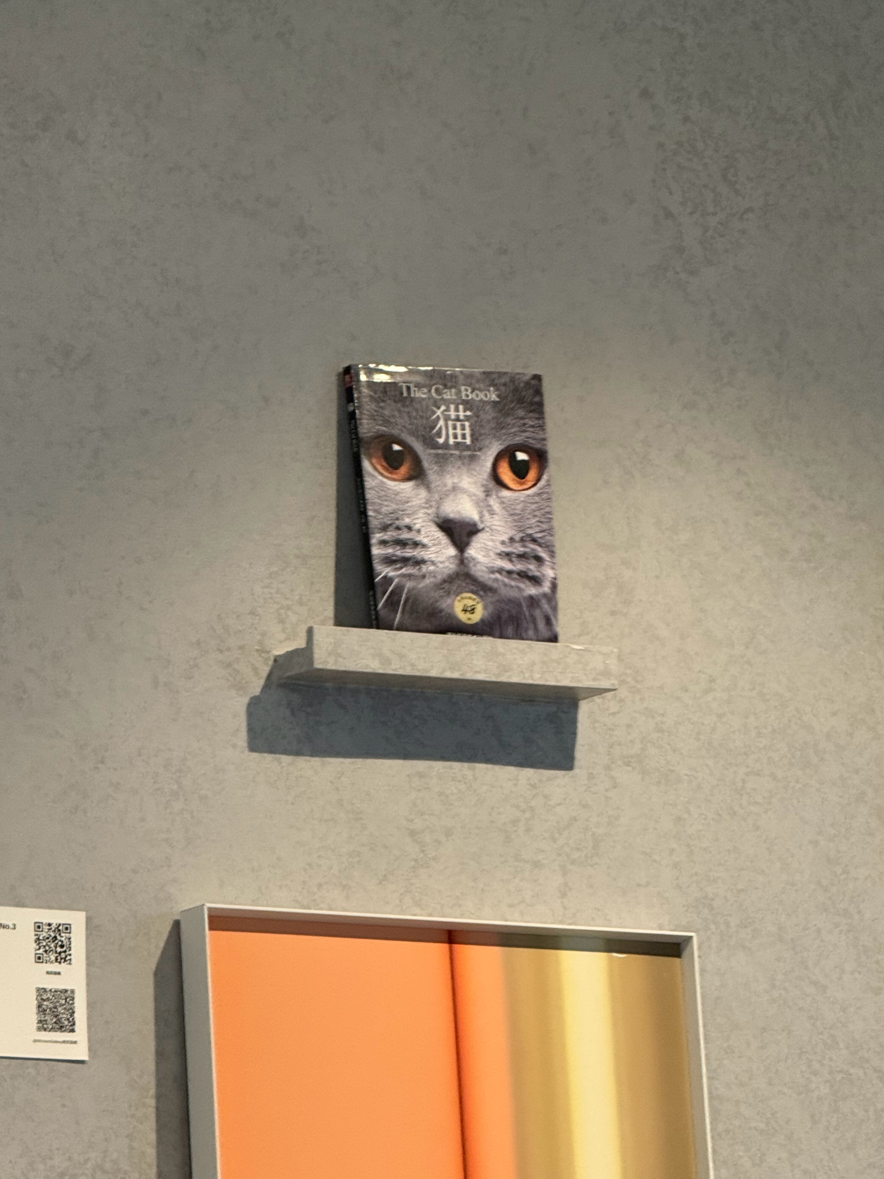 A YOUNG CAT . 