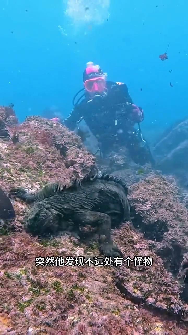 这是啥怪物？
注意看，海底深处一位男子正在潜水，突然他发现不远处有个怪物正专注地