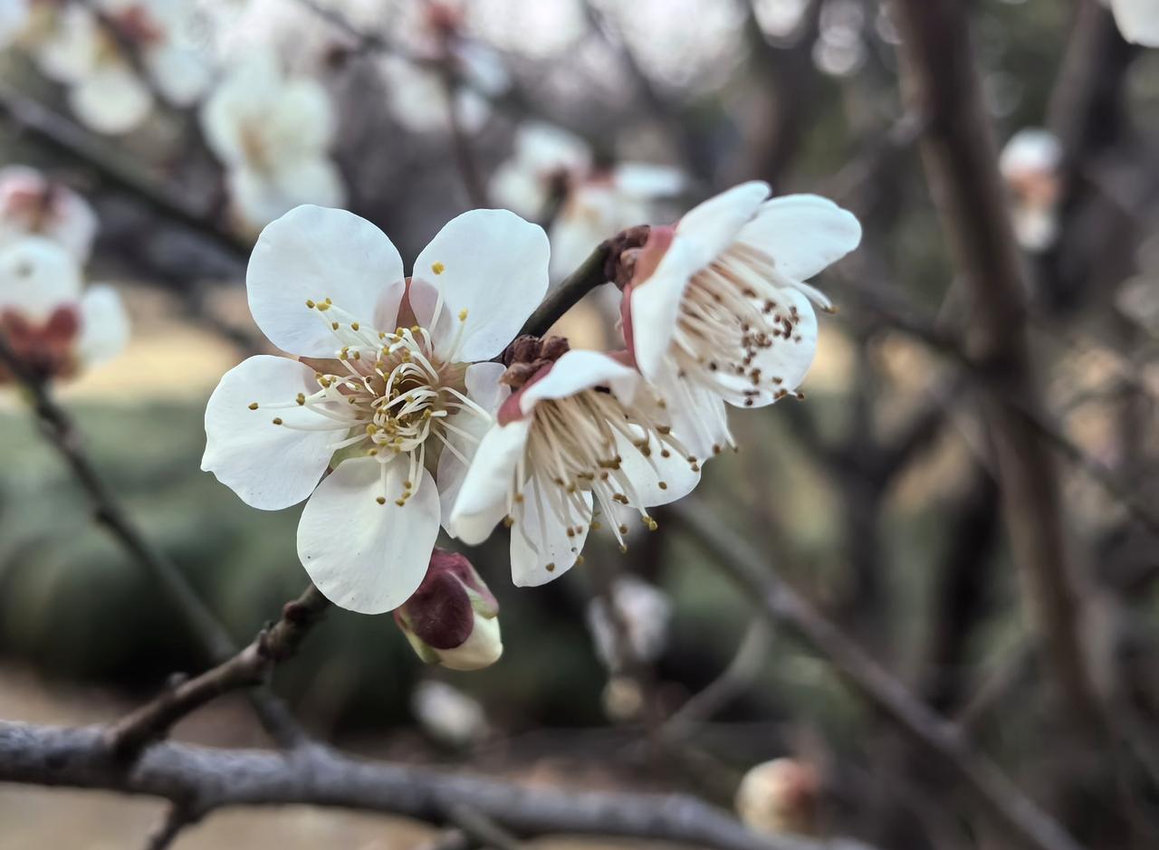 【热评】法拍是法院的执行行为
女子买法拍房被要求承担前业主17年欠费

“女子买