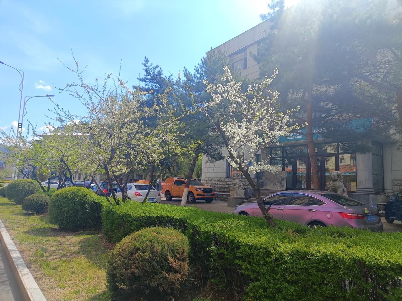 发发你拍的风景照