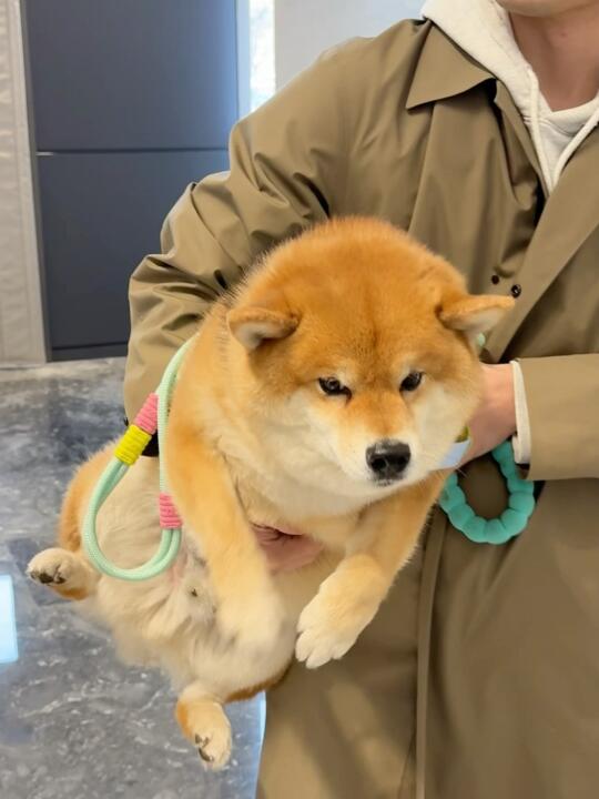 人 今天努力了吗