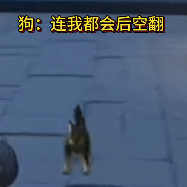 #鸣潮[超话]##鸣潮有自己的物理学##鸣潮#论在鸣潮大世界跑图究竟有多爽！遇到