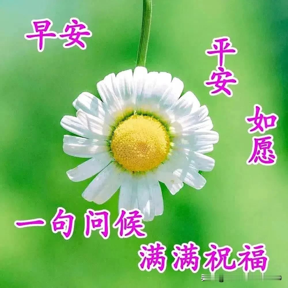 新的一天，新的开始；
满满祝福，相互牵挂；
健康幸福，平安吉祥；
收获满满，快乐