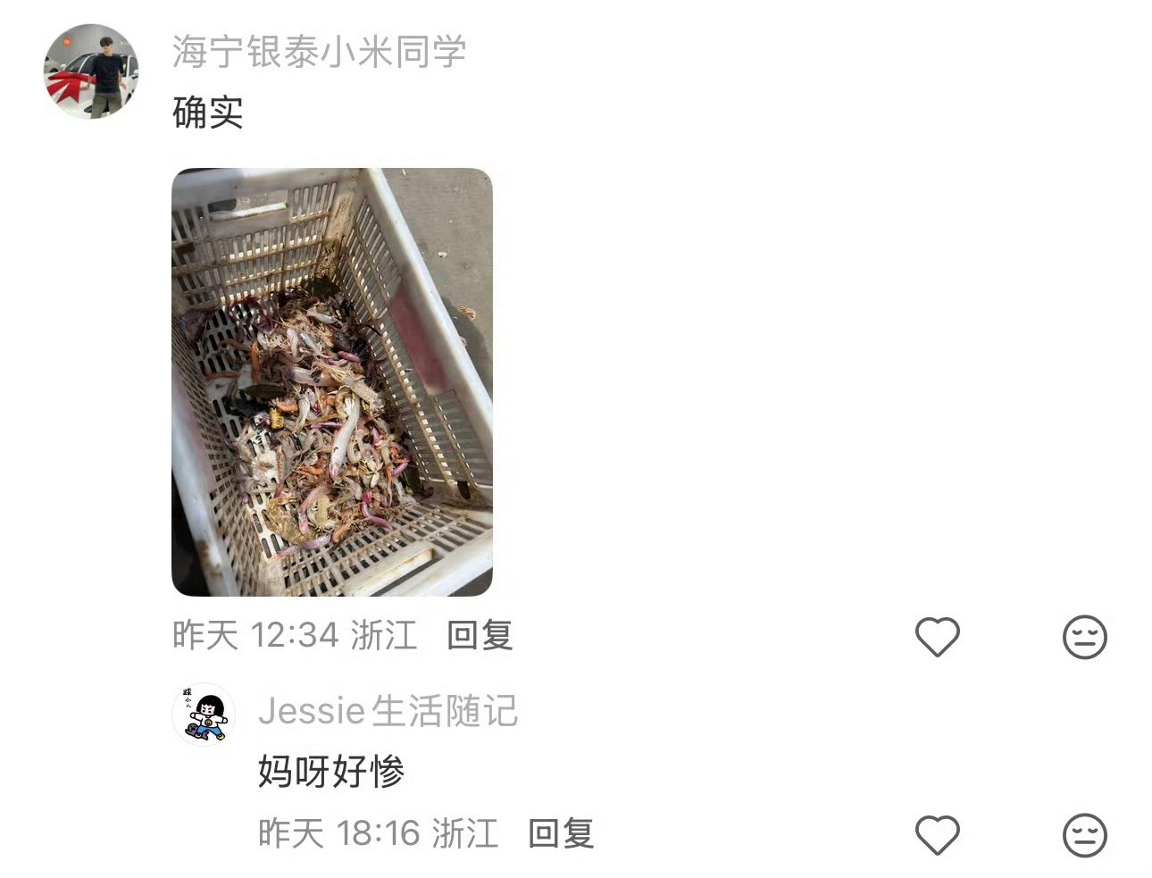 网友称花1千多在宁波象山出海捕捞只有小鱼小虾 网友“路过”发帖避雷，宁波象山包船