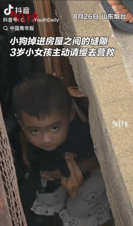 暖心。山东，妈妈与3岁女儿捡到一只流浪小狗，这天给狗狗喂饭时，小狗掉进房屋间3米