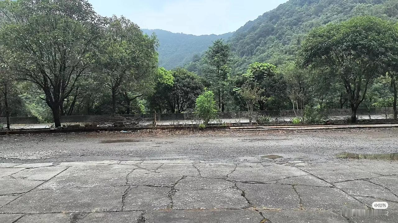 桂林遇黑车司机包车，他另外带人超载还半路加价，恐吓我们他后备箱有东西!!!

因