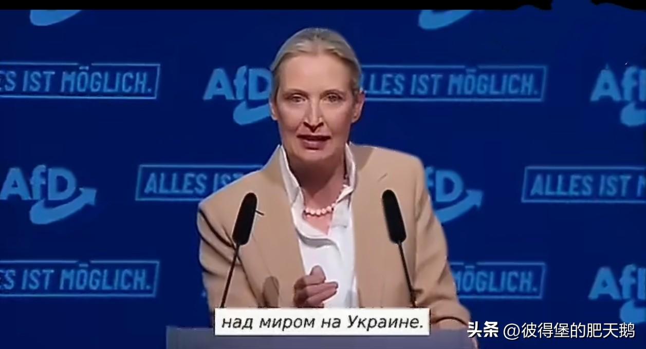 ❗“停止一切援助！”——德国选择党对乌克兰亮明红线！

德国选择党主席爱丽丝·魏