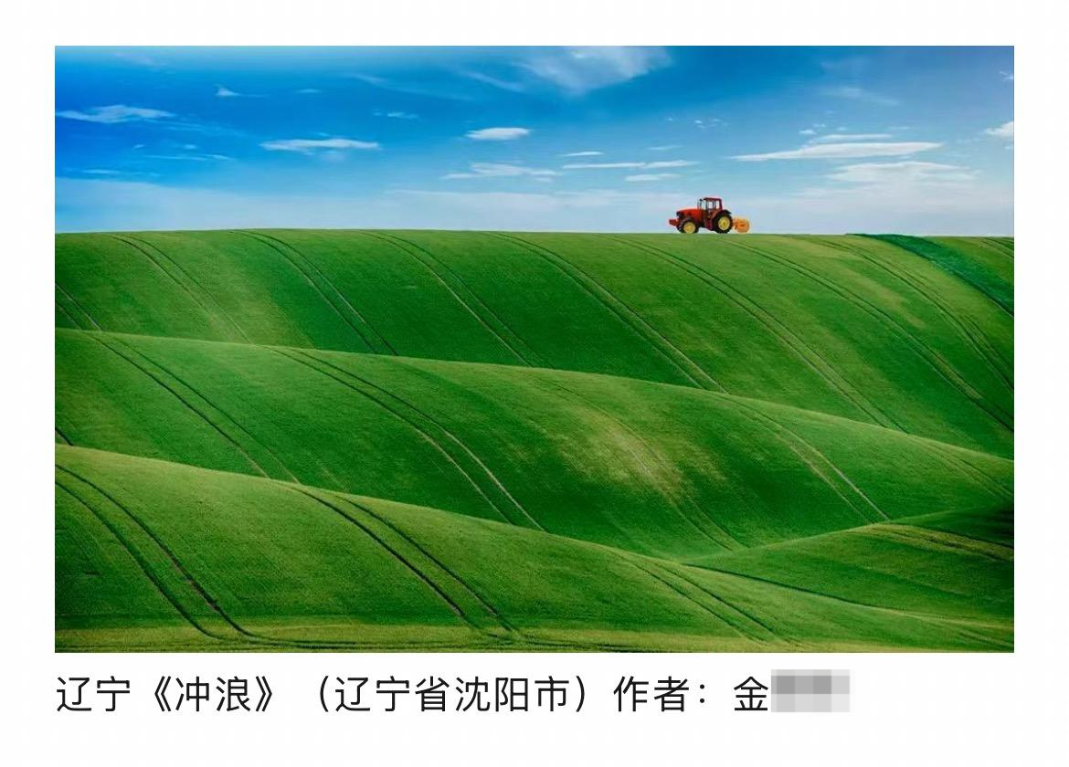 #高校教师参展摄影作品被指剽窃# 【#主办方回应教师被指剽窃他人作品参展#  主