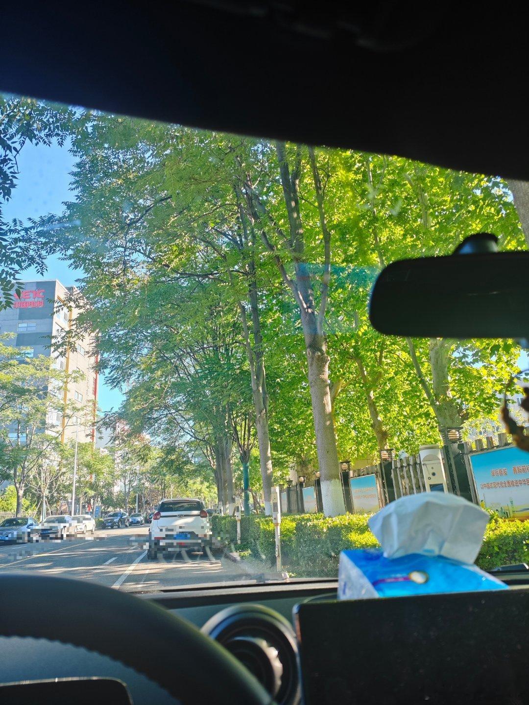 早上好呀我喜欢早到公司车里能够小憩一下的感觉