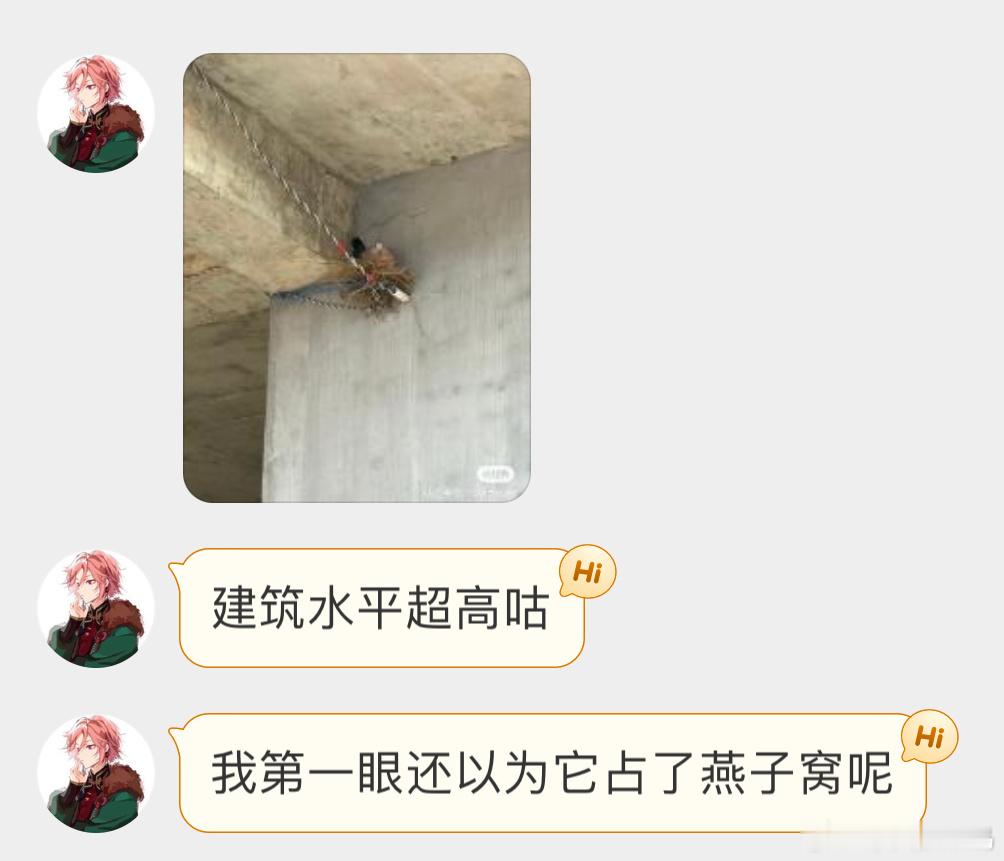 四海为家的珠颈斑鸠只要眼里有家，哪里它都能搭窝 ​​​