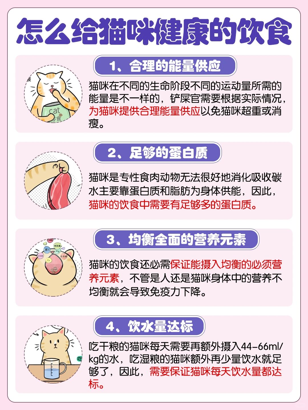 家有宅猫！冬季结实小猫的养成计划～