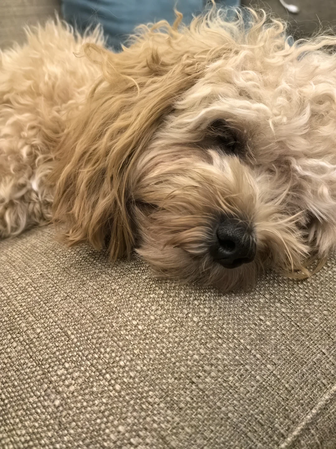 今日份晚安