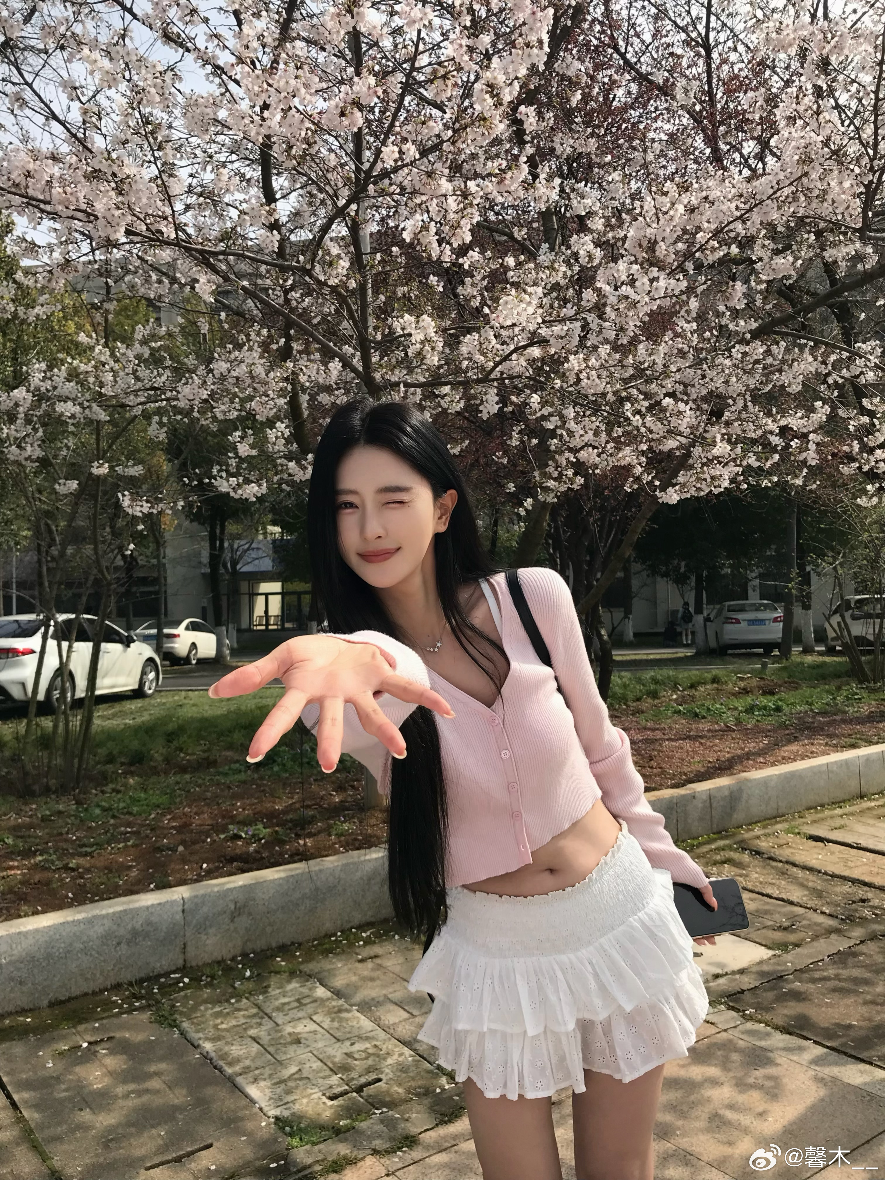 樱花盛开的季节~ 