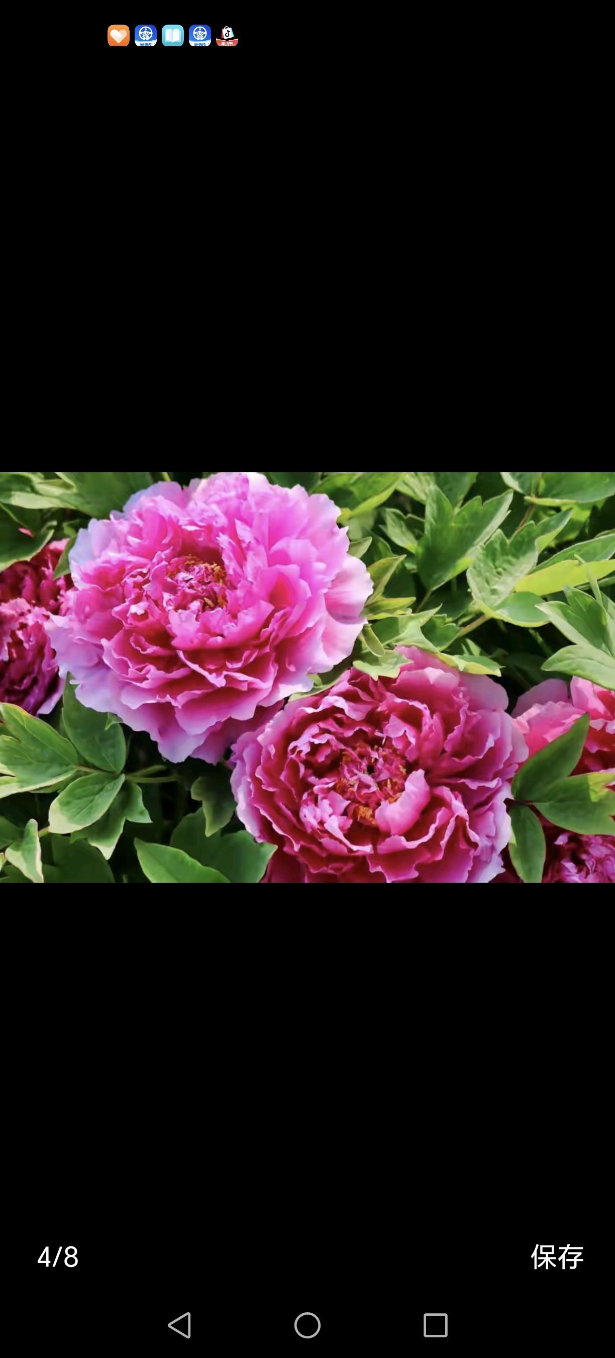 在这个快节奏的时代，我们常常被生活的琐碎和压力压得喘不过气来。走在街头，心如乱麻