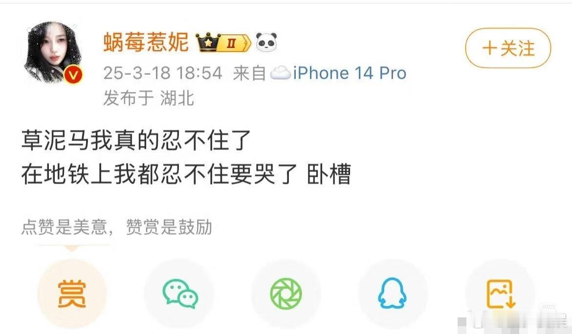 赵露思虞书欣不愧是对家，最近虞书欣干过的事全都被扒出来了[二哈] ​​​
