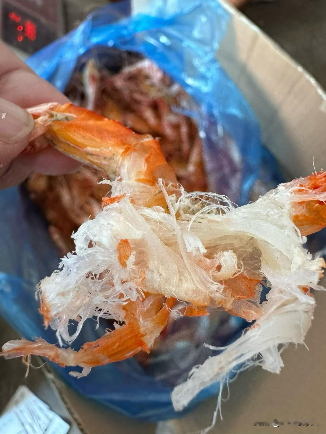 真的到了海鲜自由的时候了！自从开海后，大飞蟹，海螺，大蚬子轮番上阵，每天都吃，现
