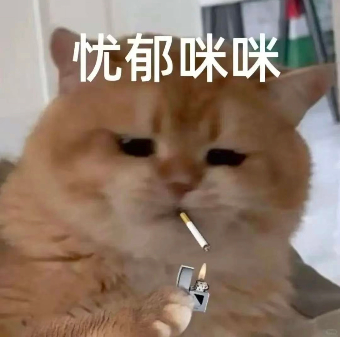 吃了四天药，今天喝杯奶茶不过分吧