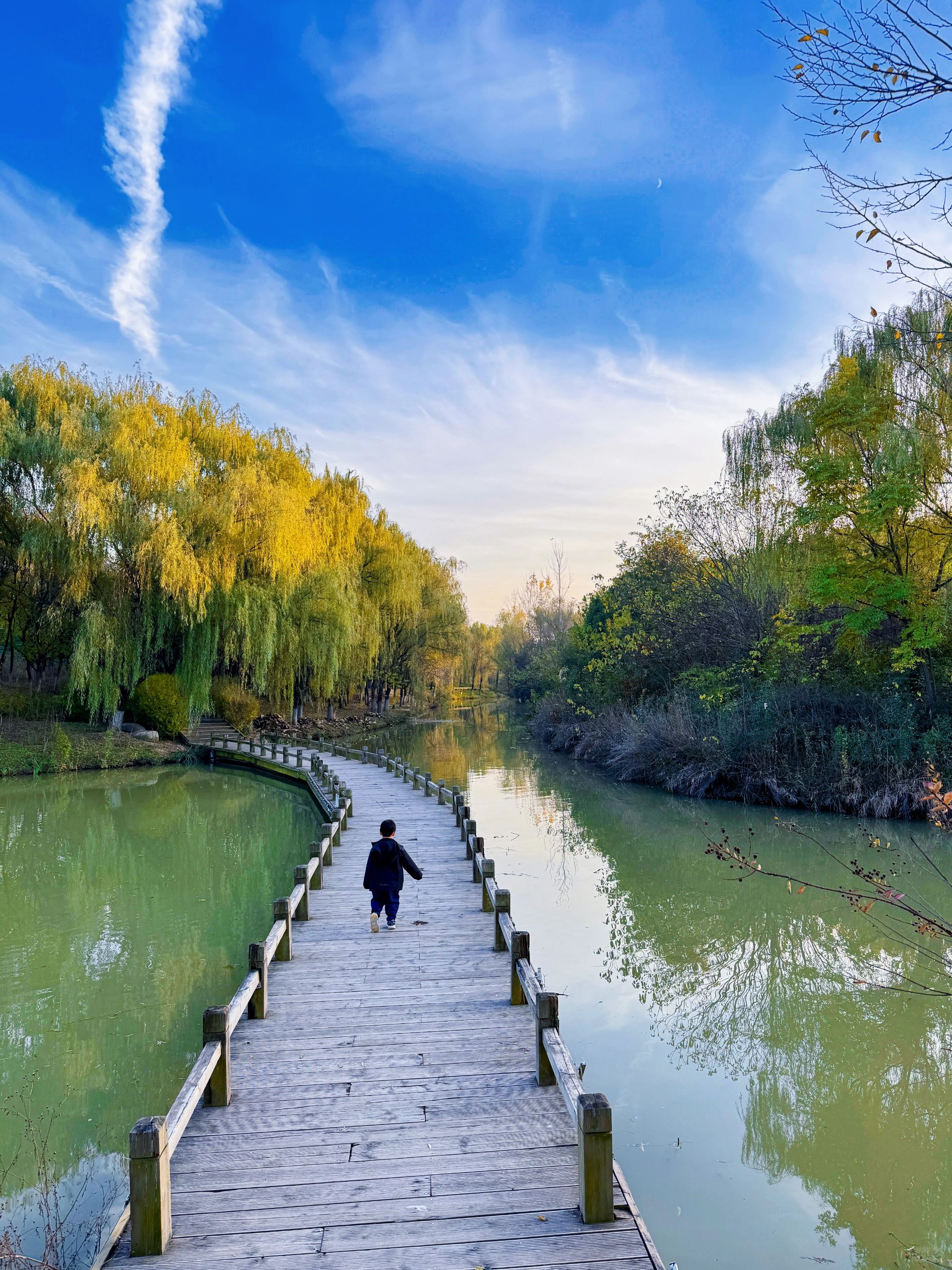 不收💰萌宠公园，还能看海！真的在西安！