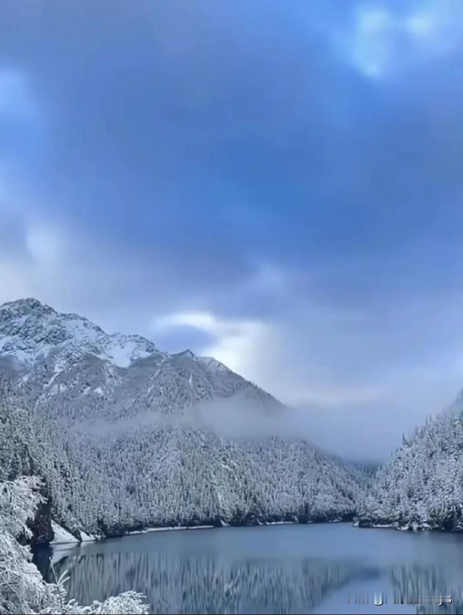 天南地北大拜年戳这里，一起放烟花>