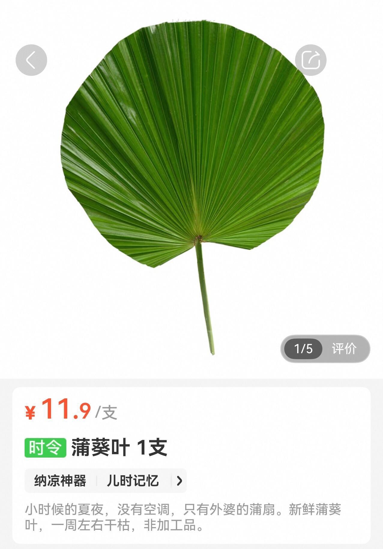 城里人小时候不是电风扇吗