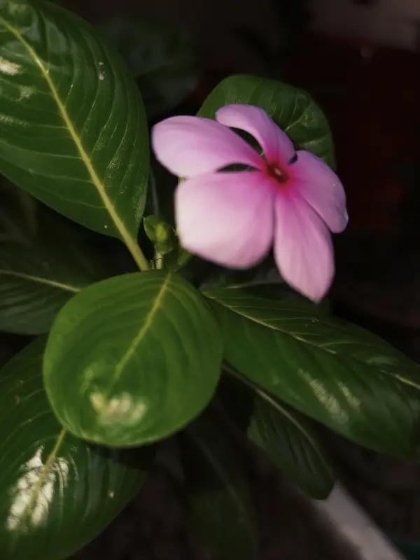 爱这东西，是种深沉又复杂的情感。
它是心跳突然加快的那种真切感受，
是不图回报的