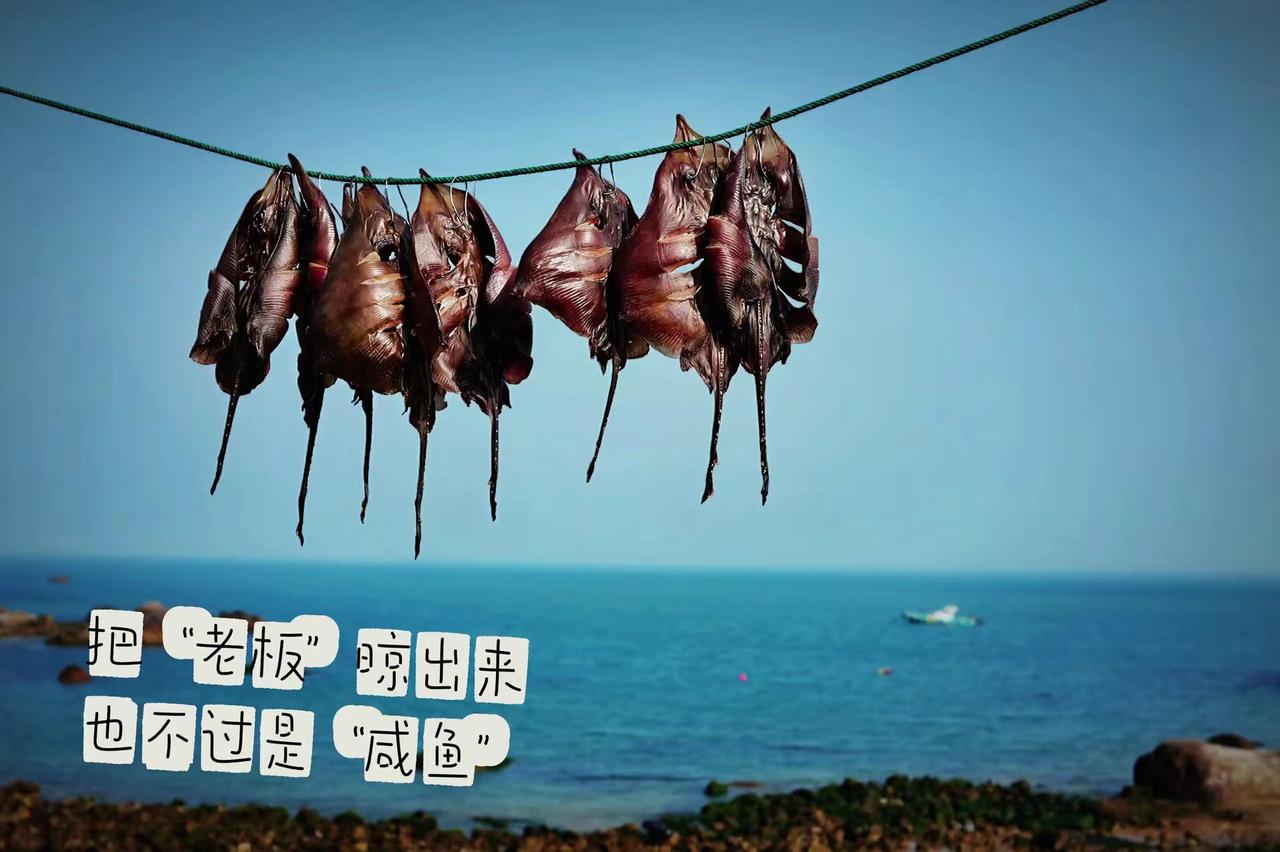要不要比比谁家的“老板”更“咸”老板鱼干 胶东海味 海边纪实 咸咸的海风