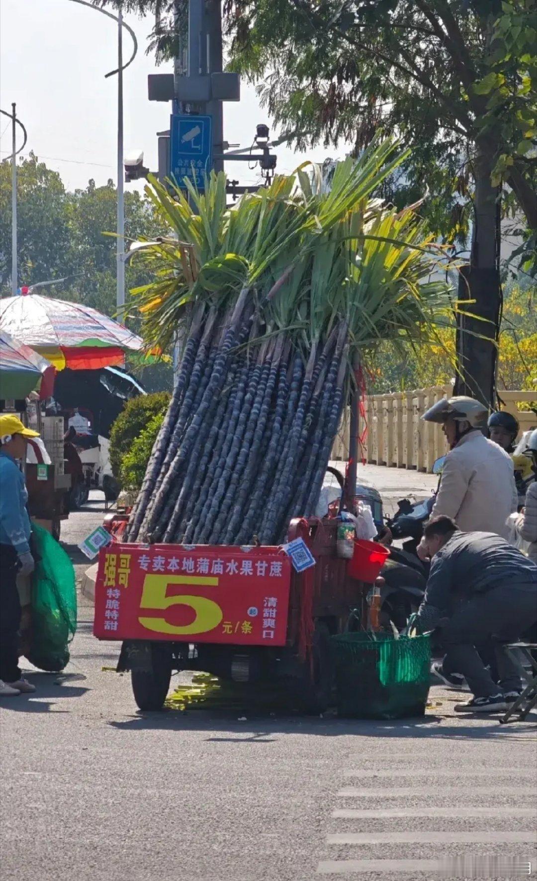 广西甘蔗，这么便宜？[汗] 