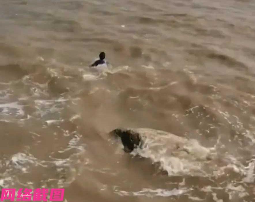 广东珠海有位爸爸，带着自己孩子在海边游玩。

只是爸爸和孩子在游玩当中，还带了只