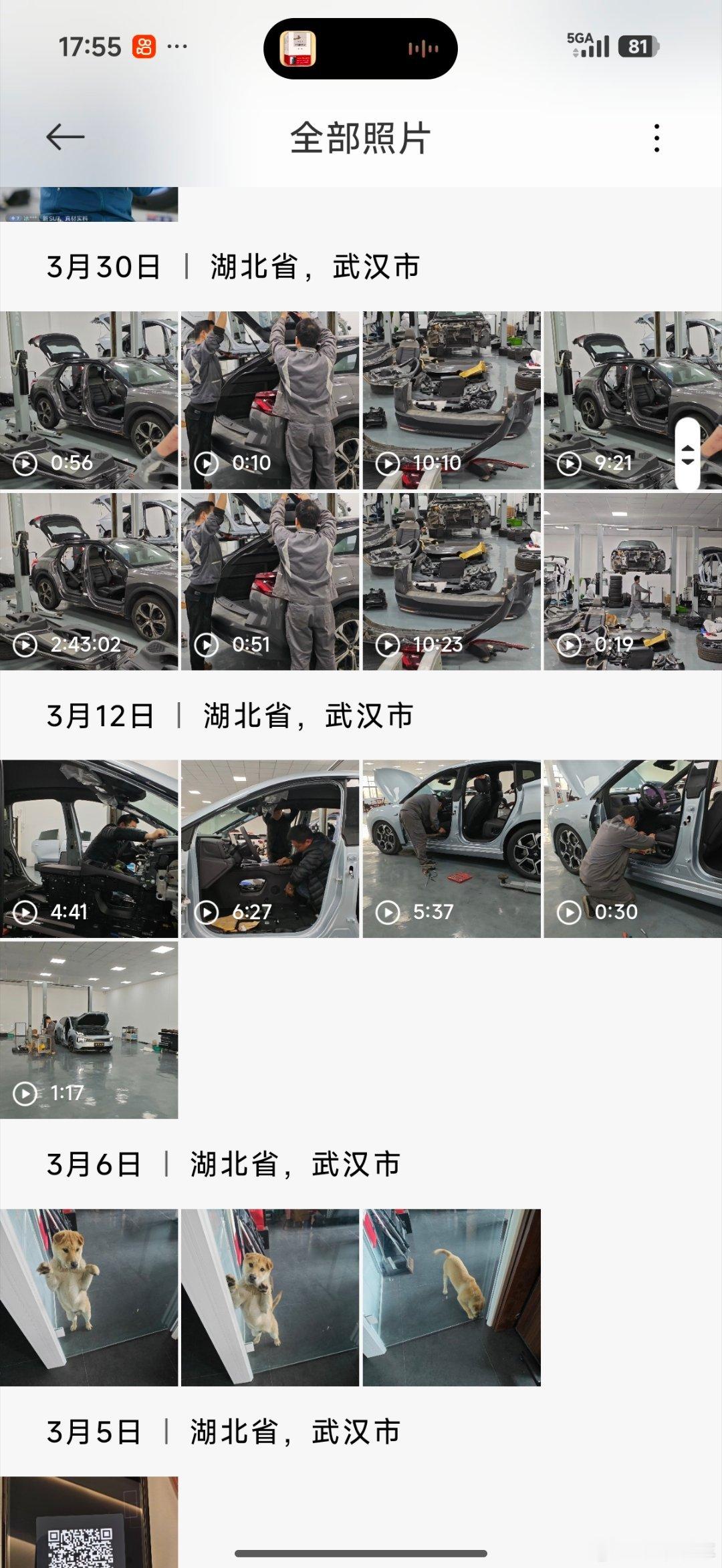 分享图片 