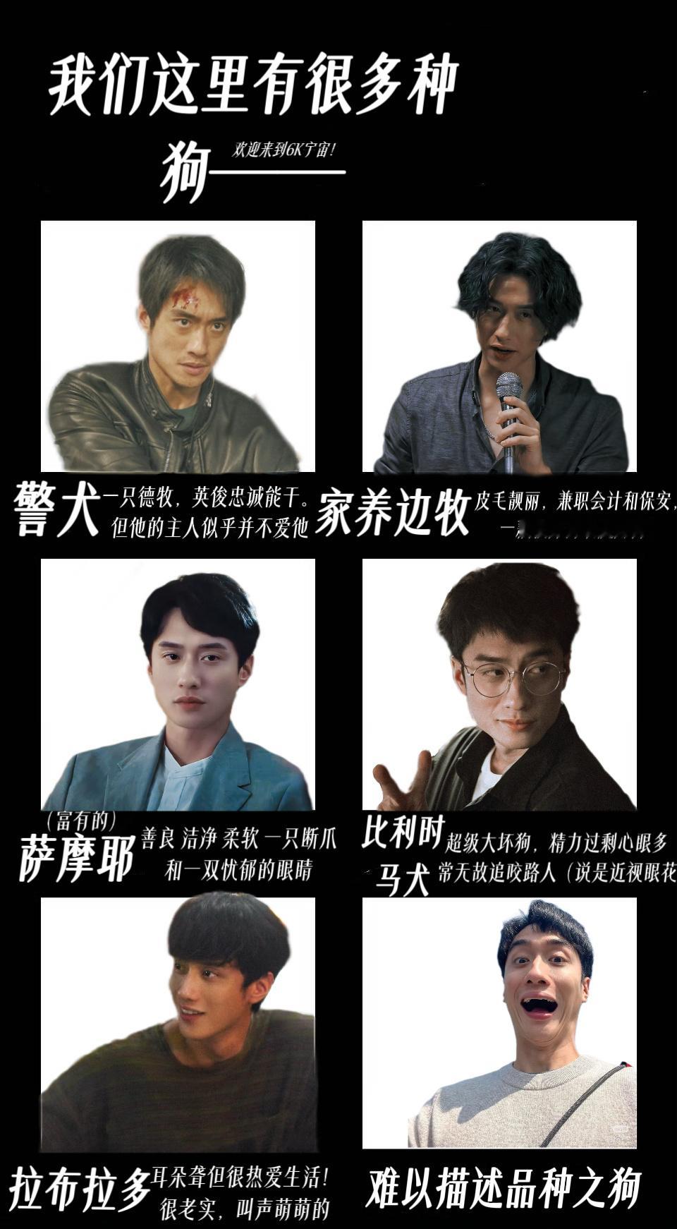刘俊谦  我们这里有很多种 狗——