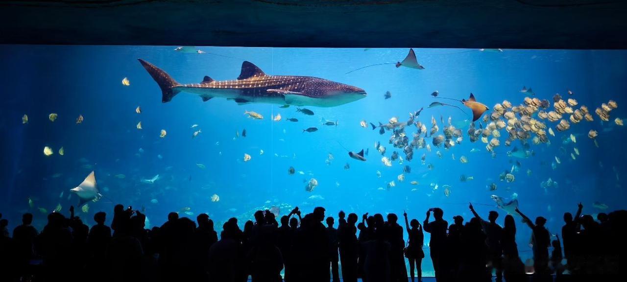难走的从来都不是路，而是你心里的那一关。关关难过关关过，夜夜难熬夜夜熬，步步难行