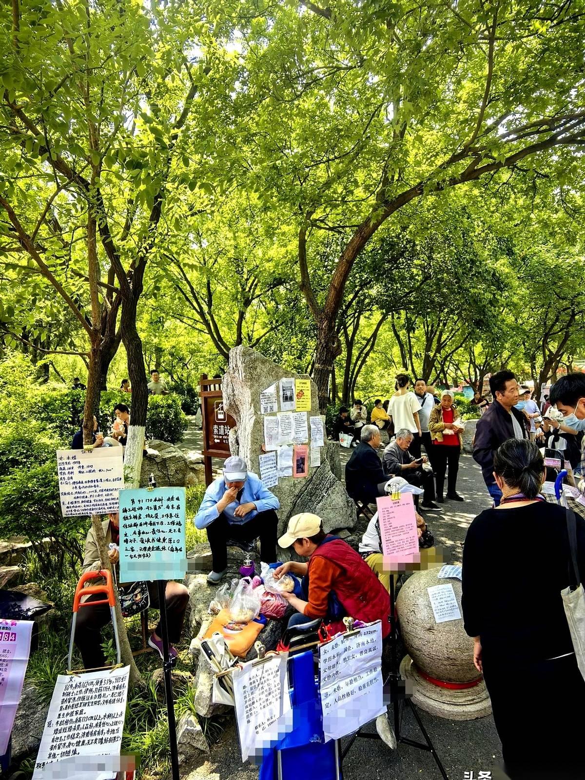 早上7点的济南千佛山，山路两边挤满了密密麻麻的小推车。
这不是卖菜的早市。车把上