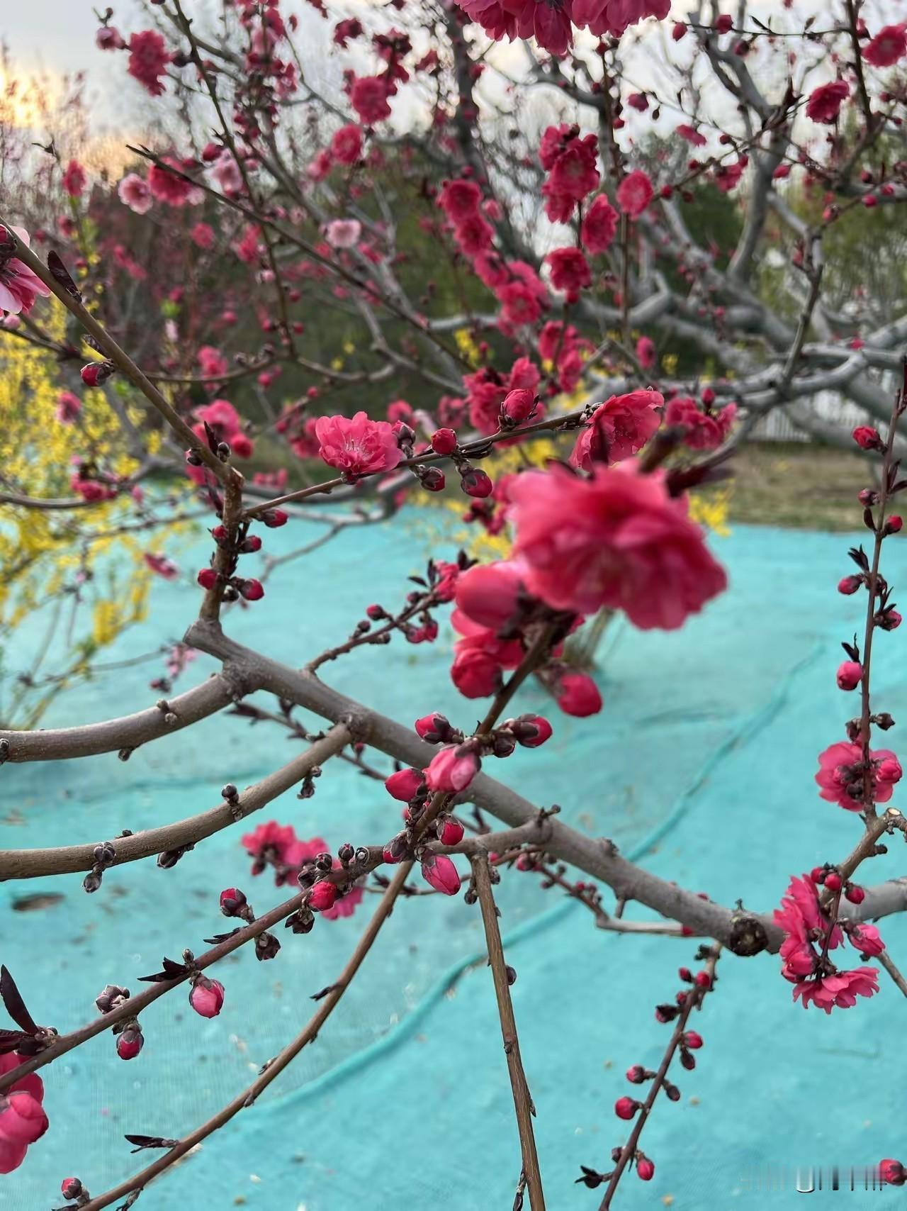 头条爆款不靠华丽的辞藻，
而是靠有光的文字。

写出有光的文字，
才能引发共鸣，