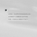 养性玩玩科技