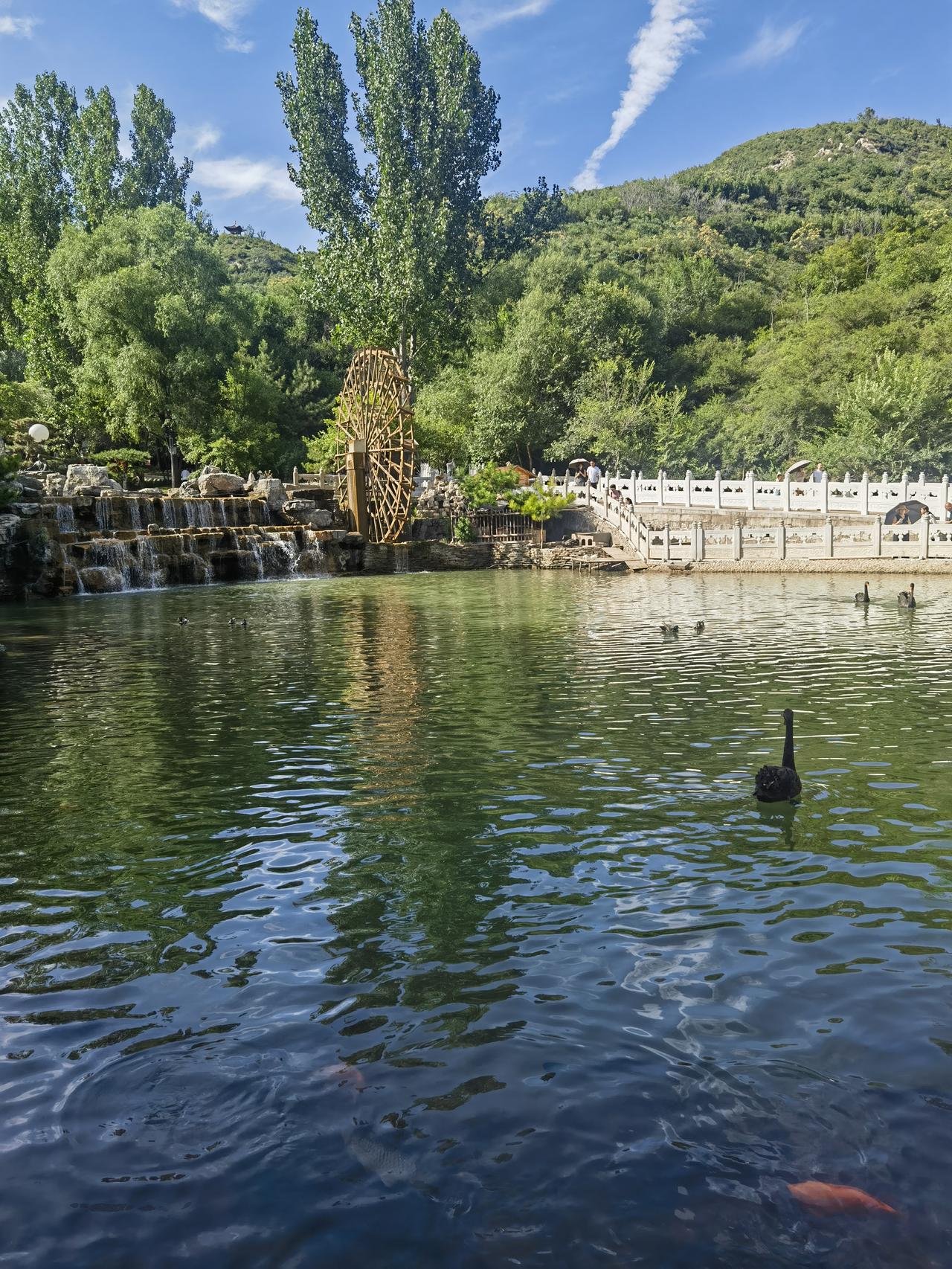 夏日生活打卡季怪不得古人憧憬林泉，夏日真的惬意。