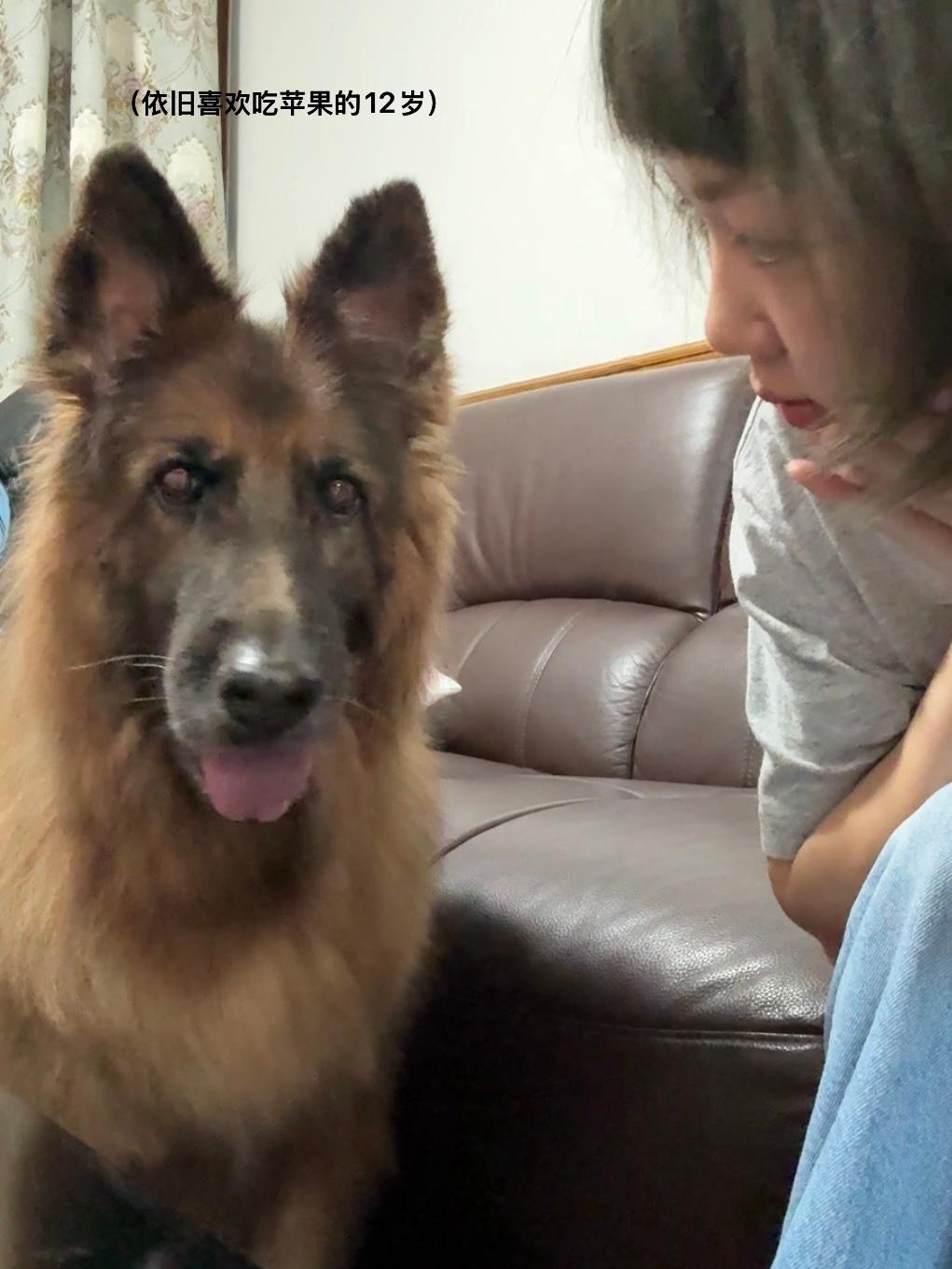 假期：遛狗 / 睡觉 / 看星星 / 咖啡节罚站 ​​​