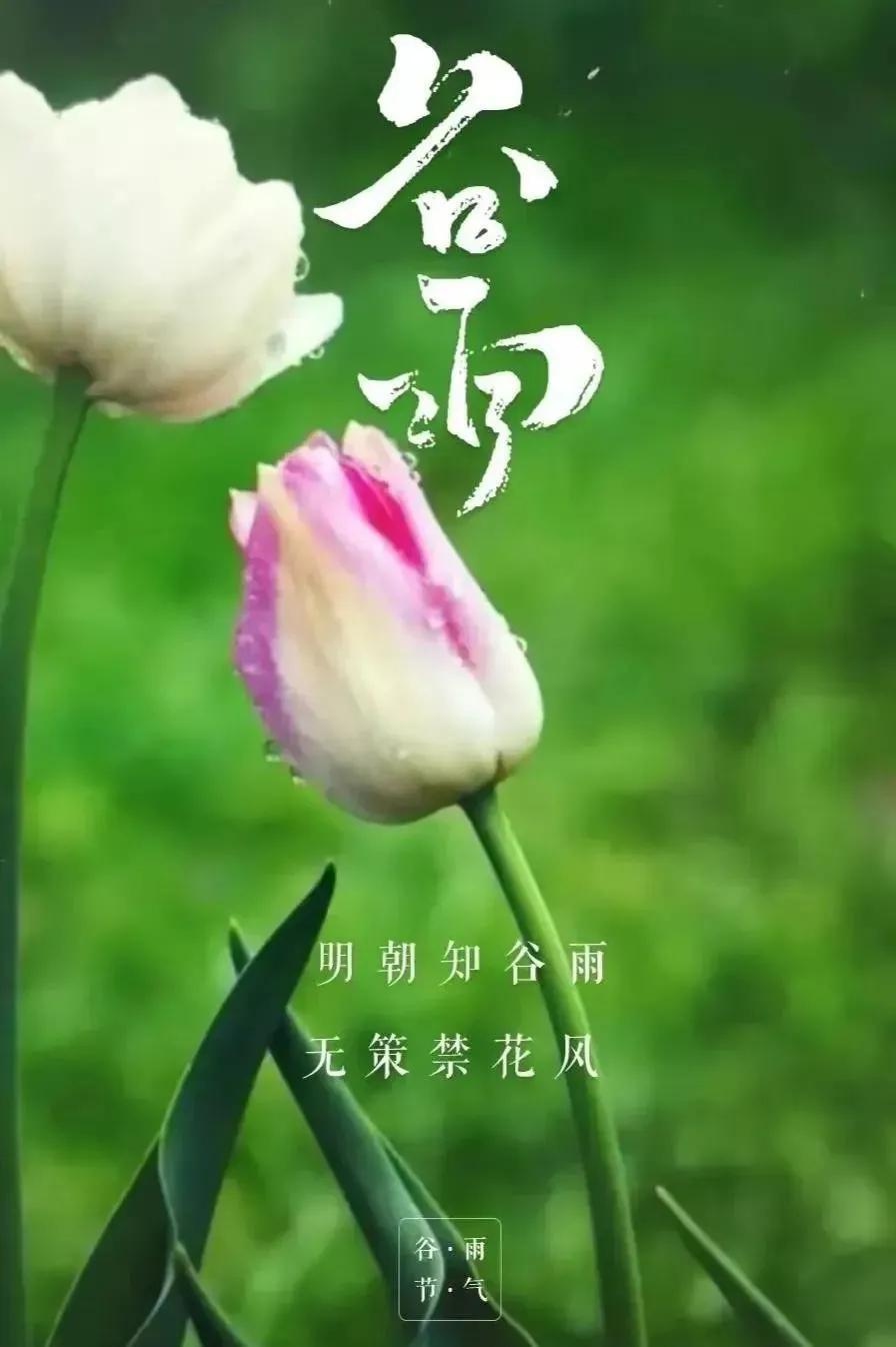 人到中年，始悟真谛：

他人的屋檐再大，终究不如自己手中的伞来得实在。靠人遮雨，