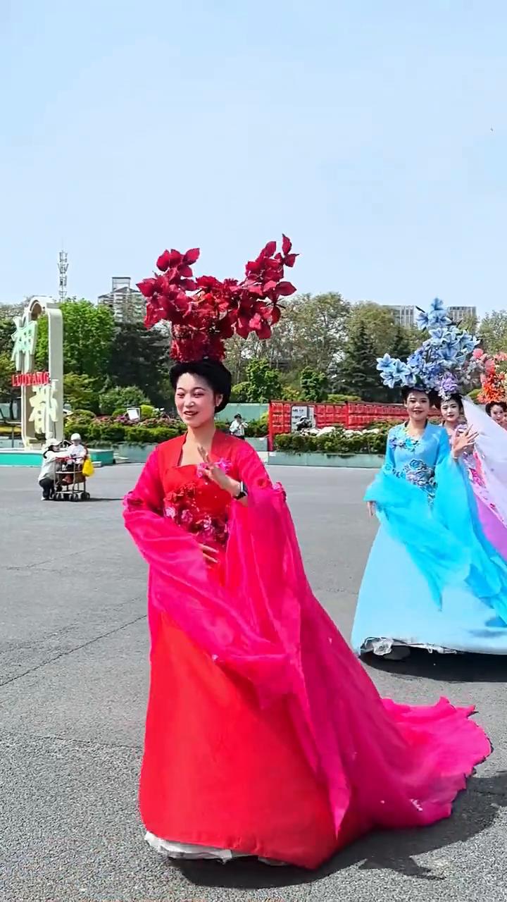 花舞大唐春。
仙子巡游，牡丹飘香，洛阳这个景区好美。太可悲了，漂亮，太漂亮了，目