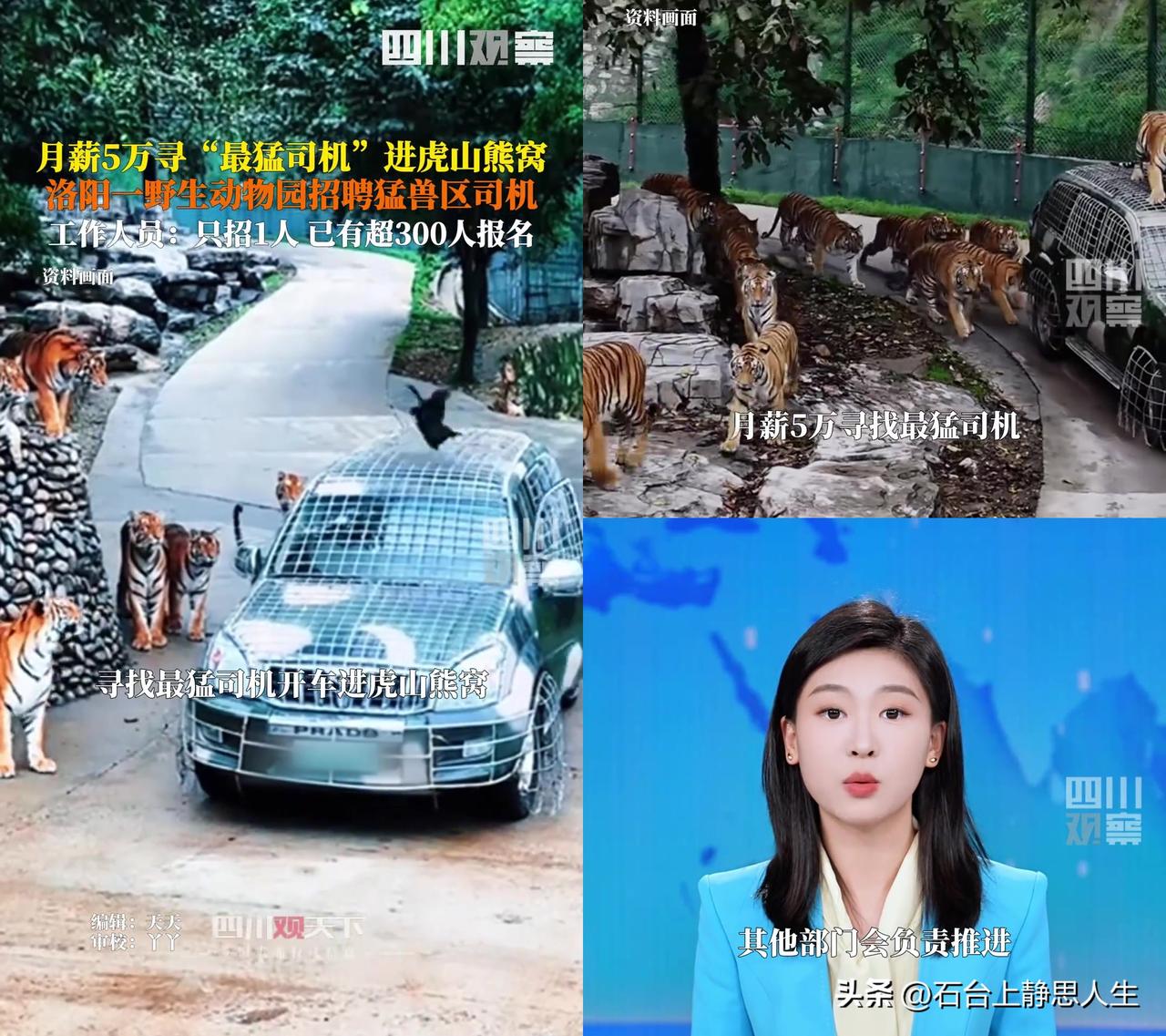 洛阳动物园月薪5万招猛兽司机？先别急着冲！

超300人报名只招1个，现在已