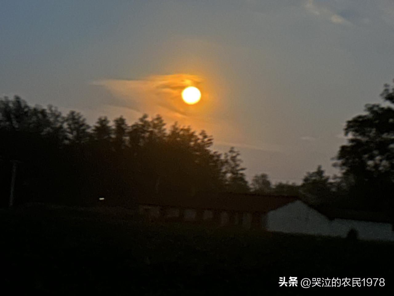 【乳燕飞·相逢】

君似春风拂。
漫诗行、晚霞晕染，字间平仄。
万物清韵皆含墨，