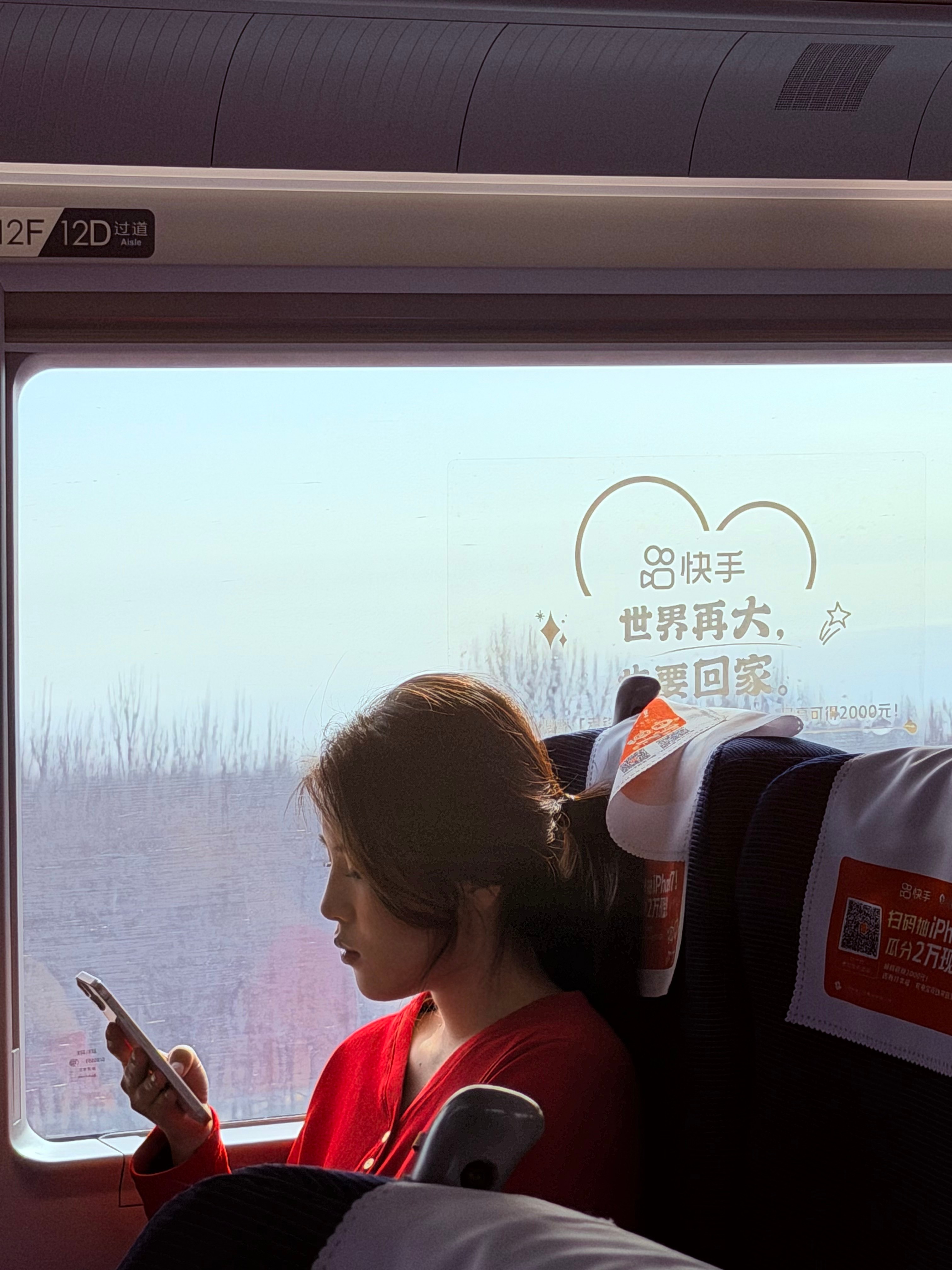 东北人把年味焊在了车窗上老铁专列 硬核年味贴满窗，一路向北行，每一站都离热乎的东