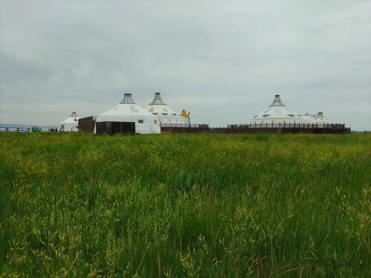 我趁着年轻，一个人去了坐飞机去了新疆旅游，坐飞机去了拉萨旅游，今年7月1日坐火车