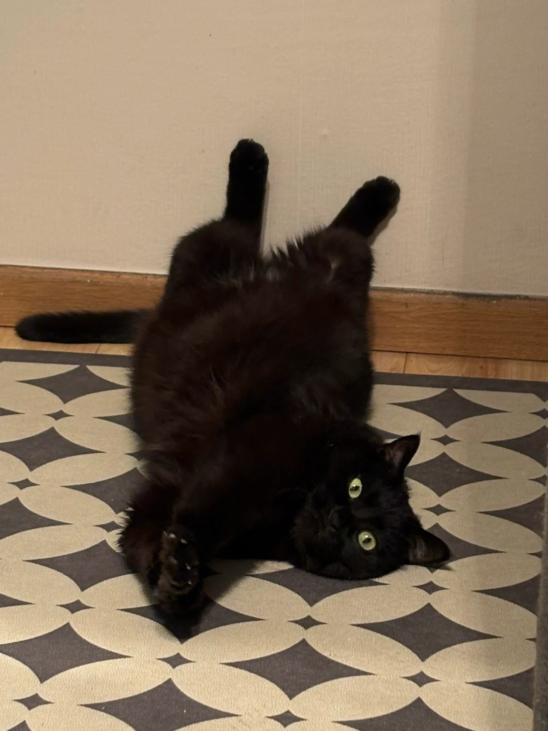 不知道 反正咪的身材很曼妙