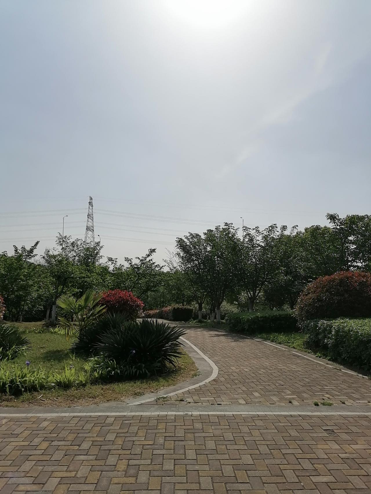 前几天，一个多年没见的老熟人去世了。走得特别突然，前一晚还喝了点酒，第二天清早便