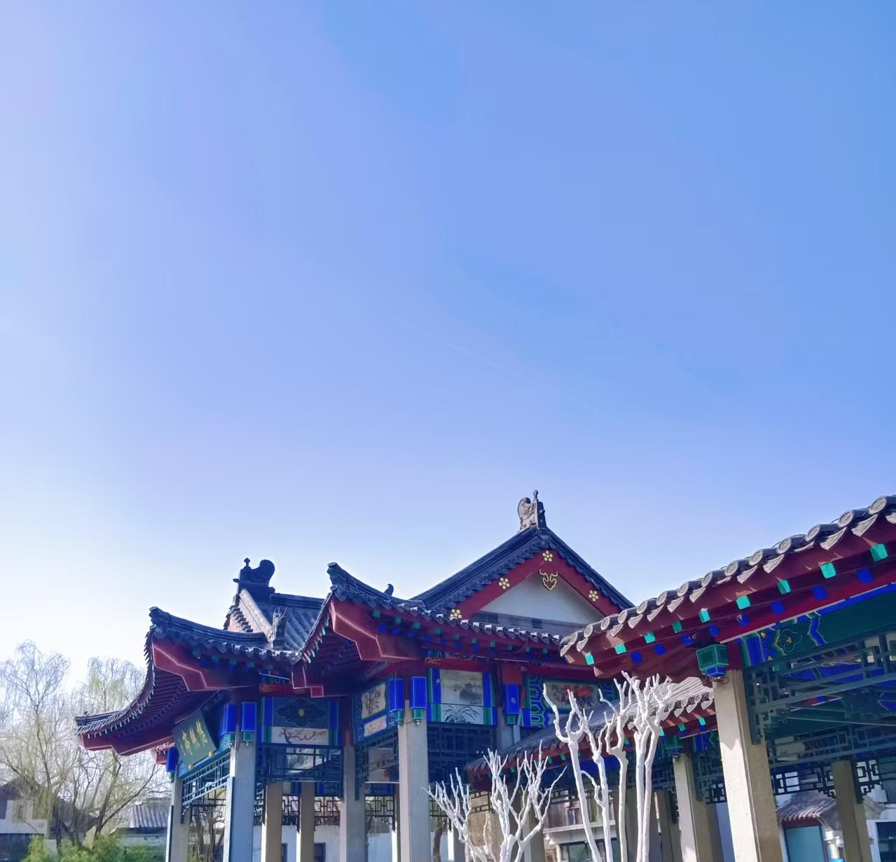 随手拍一张你所在城市的蓝天景色哈哈哈哈哈！看看我们这蓝天白云