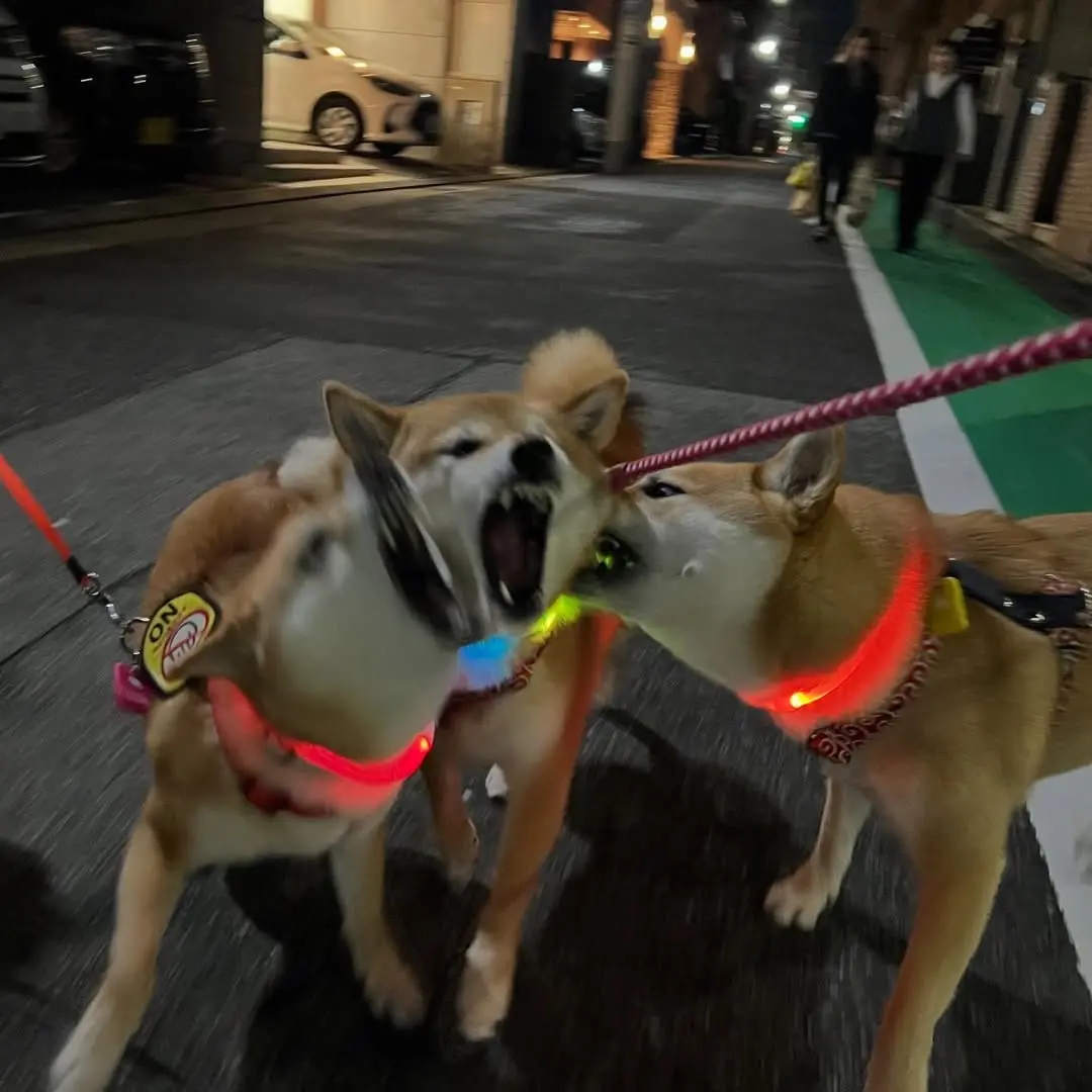 老乡见老乡