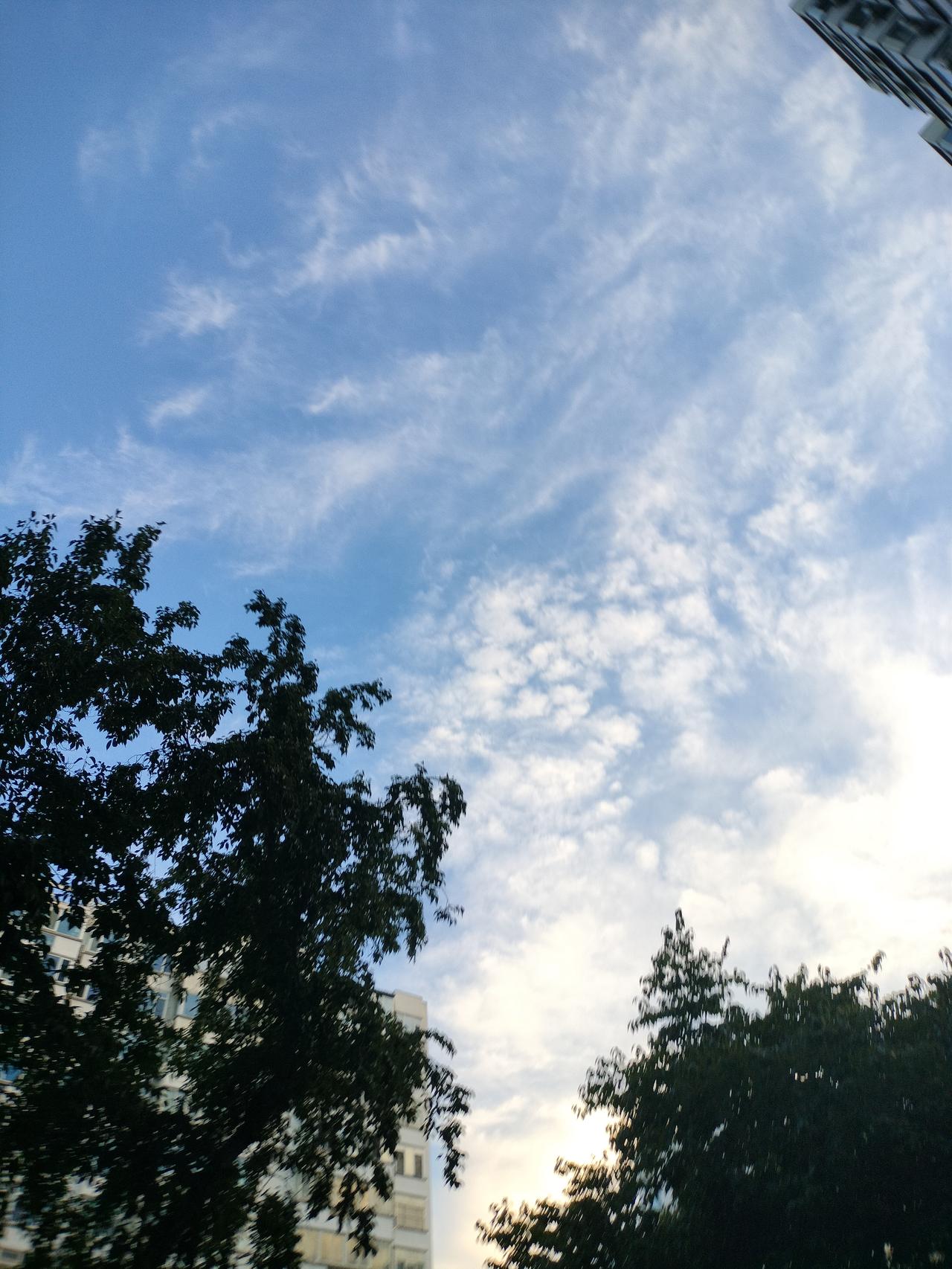 立秋后北方气温会一路走低吗立秋后，北方的气温会一路走低，但是有的时候也会反常，那