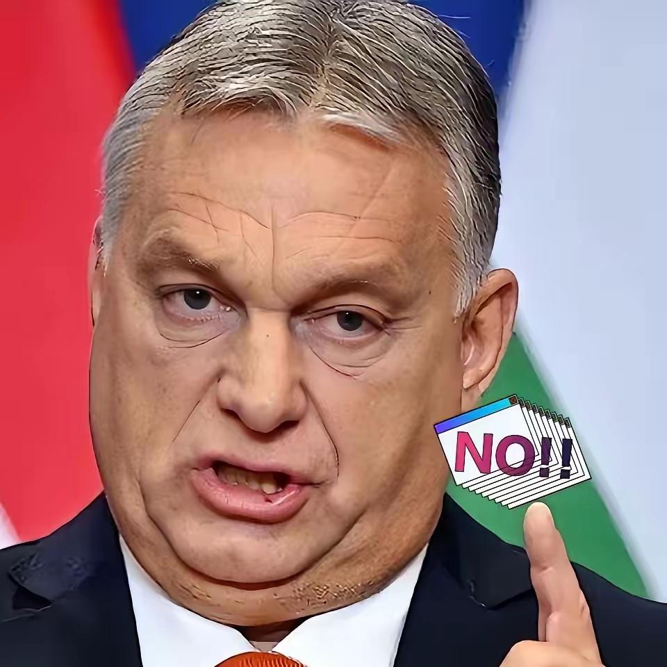 就在刚刚，匈牙利总理欧尔班在社交媒体上掷地有声地表态：匈牙利坚决不让本国纳税人的