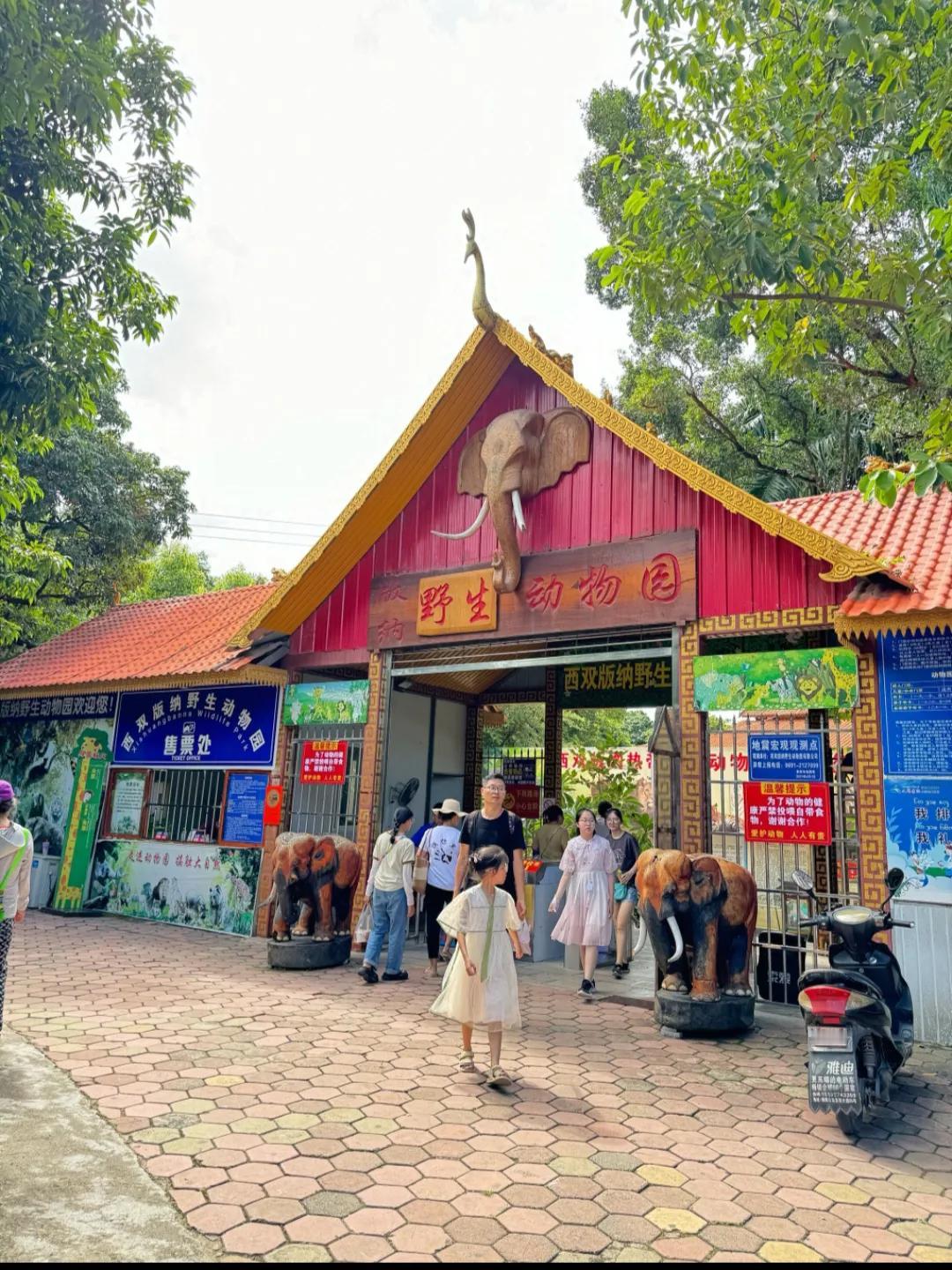 景洪之旅，邂逅热带风情
踏入景洪市，仿佛走进了一幅绚丽的热带画卷。阳光热烈而明亮